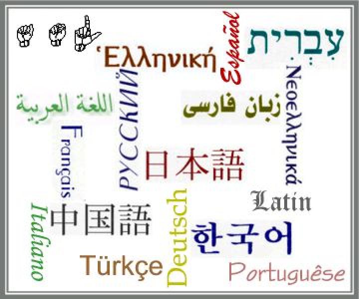 Cursuri de limbi străine la Arad